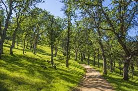 Round Valley Regional Preserve